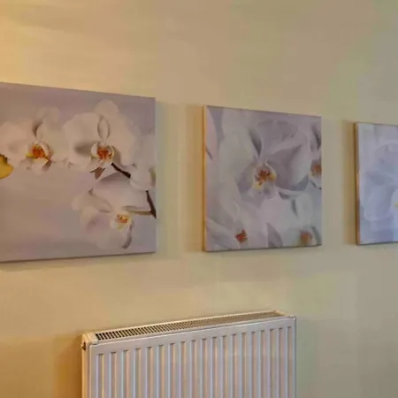 Cosy And Spacious 4u Apartament
